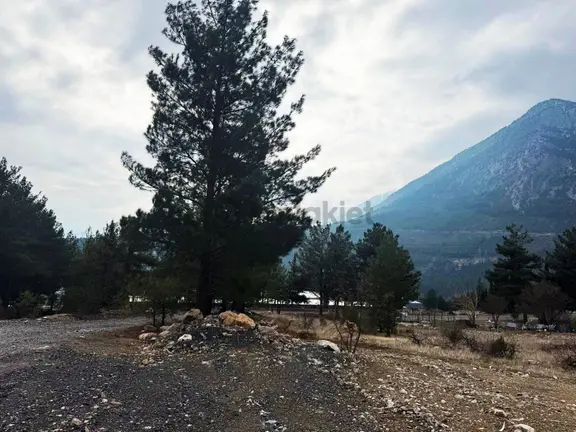 Kar Emlaktan Alpu Yaylasında 400 M2 Satılık Arsa 2