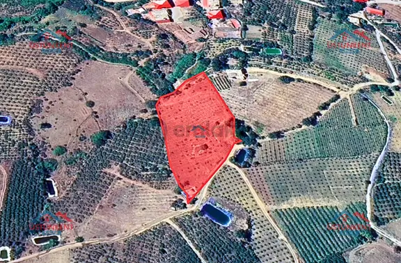 Üstünkent - Kocayer'de Köyiçi 5 Dönüm Satılık Yola Cephe Tarla 1