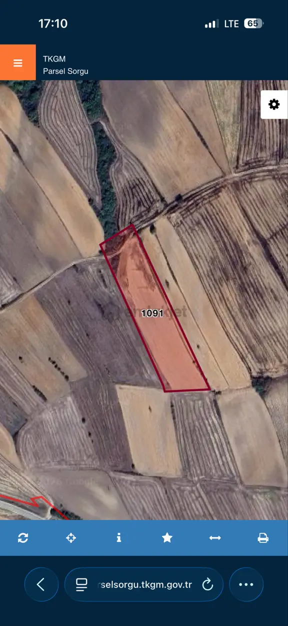 Tekirdağ Hayrabolu Çıkrıkçıda 10.400m2 Satılık Tarla 1