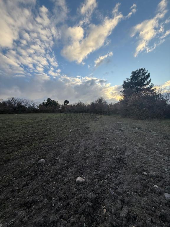 Balıkesir Sındırgı Osmanlar Köyünde 9.566 M² Tarla Satılıktır 2