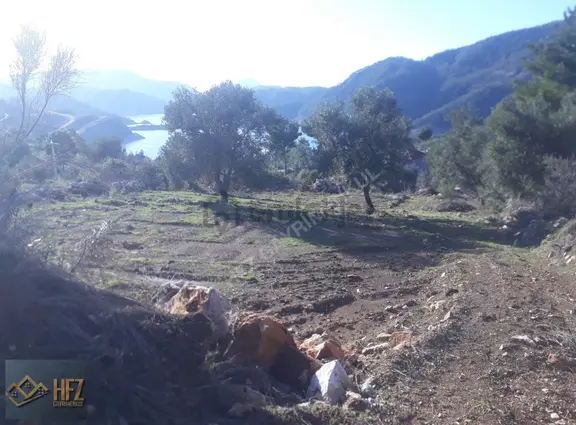 Dalaman Bozbel' De Kaçırılmayacak 2100 M2 Tarla 2