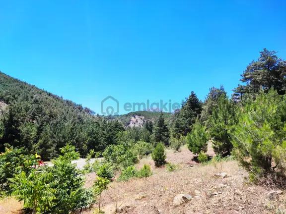 Kar Emlaktan İstiklal Mahallesinde 5 Kata İmarlı 400 M2 Satılık Arsa 2