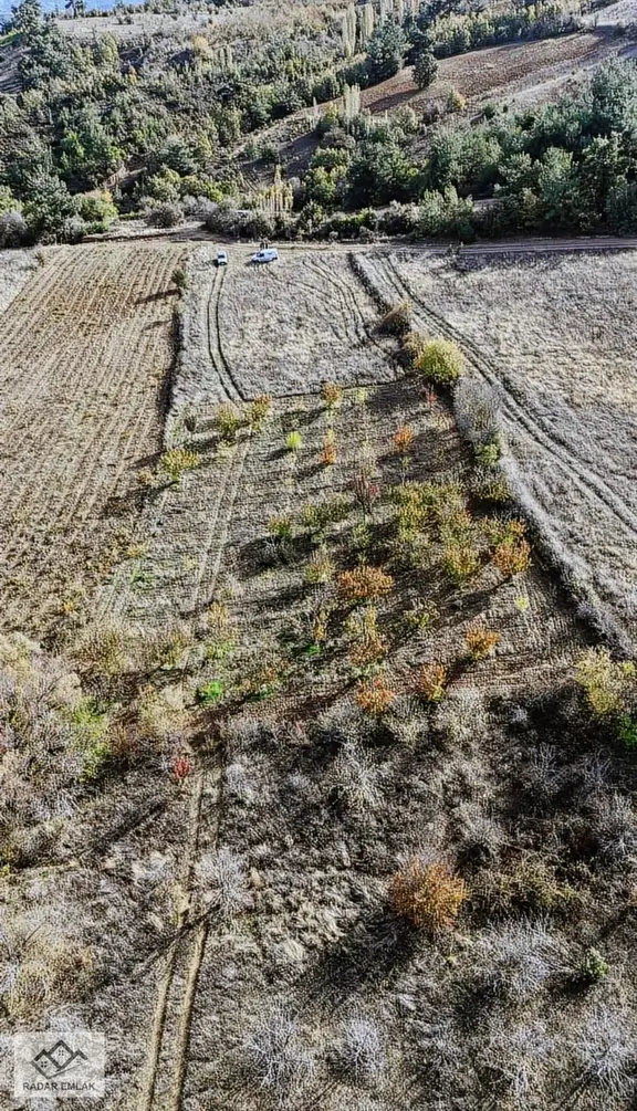 Turgutlu Dağyeniköy Mahallesinde 1907 M2 Tek Tapu Satılık Tarla 1