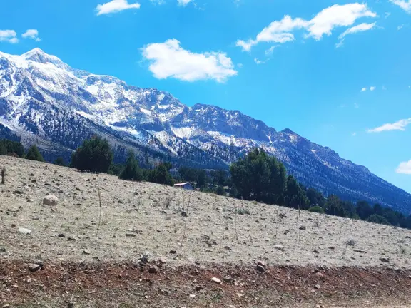 Kar Emlaktan Aşçı Bekirli Fenese Mevkiinde 450 M2 Satılık Arsa 2