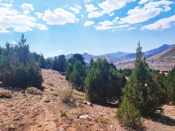 Kar Emlaktan Aşçı Bekirli Fenese Mevkiinde 450 M2 Satılık Arsa 2