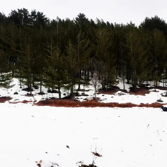 Kar Emlaktan Yeni Konacık Efes Sitesi Yanı 400 M2 Satılık Arsa 2