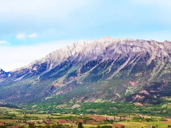 Kar Emlaktan Yazıcak Köyünde 600 M2 Satılık Arsa 2