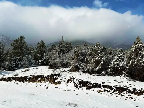 Kar Emlaktan Alpu Yaylasında Yüksek Konumlu 400 M2 Satılık Arsa 2