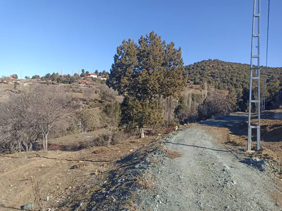 Muğla Seydikemer Boğalar Mah. Mükemmel Arazi Satışta 1952 M2 1