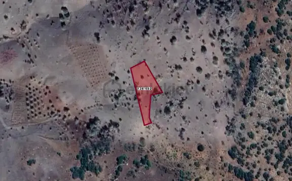 Konya Güneysınır Gürağaç Köyünde 1.519 M² Bağ Satılıktır 1