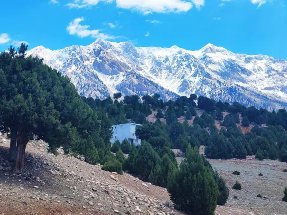 Kar Emlaktan Aşçıbekirli Fenese Mevkiinde 400 M2 Satılık Arsa 2
