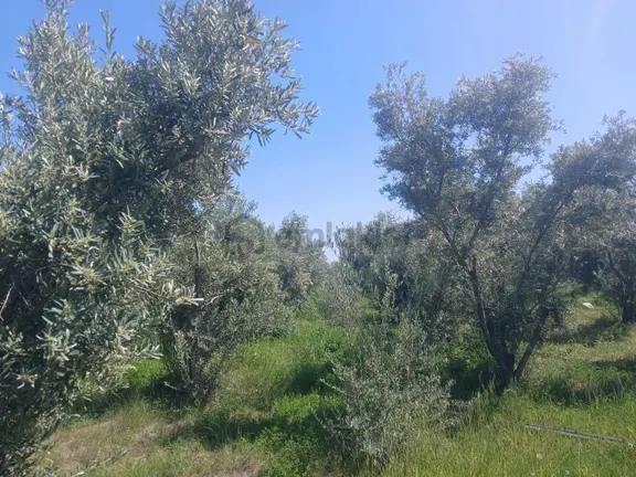 Erdemli Karyağdıda Satılık Deniz Manzaralı 2047 M² Tarla 2