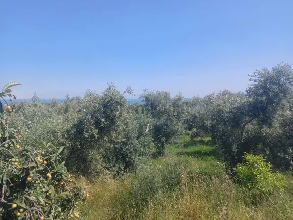 Erdemli Karyağdıda Satılık Deniz Manzaralı 2047 M² Tarla 1
