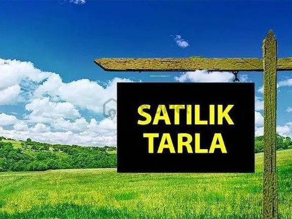 Tavas Pınarlı’ta Yola Sıfır 4000 Metre² Tarla