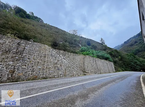 İnanç Emlaktan Uzkara Köyünde Satılık 4656 M2 Fındık Bahçesi 2
