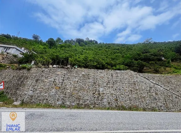 İnanç Emlaktan Uzkara Köyünde Satılık 4656 M2 Fındık Bahçesi 1