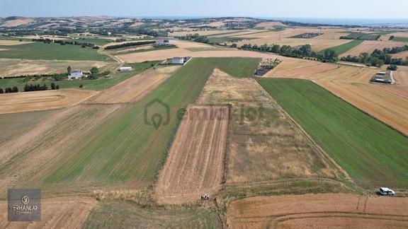Çatalca Elbasanda 2.665 M2 Tek Tapu Satılık Arsa 1