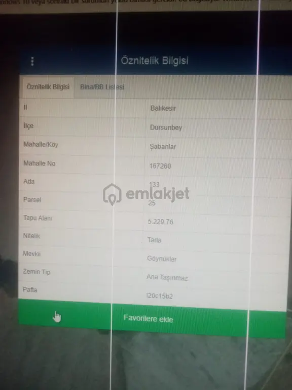Balıkesir Dursunbey Şabanlar Mah.demirdağ Emlaktan Satılık Tarla. 2