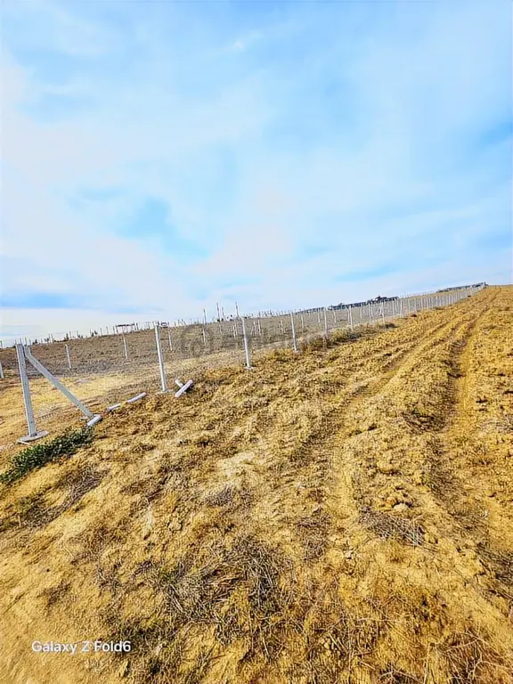 Vesile'den Etrafı Çevrili Kadastro Yola Cepheli 1100 M² 2