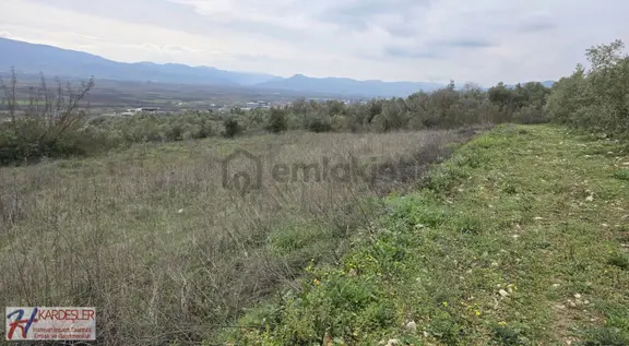 Sakarya P.ova Oruçlu Mah.muhteşem Manazaralı Konteynerlik Arazi 2