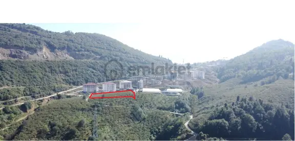 Trabzon Geçit Mah Toki Konutları Yanı Satılık 2438 M2 Arsa 1