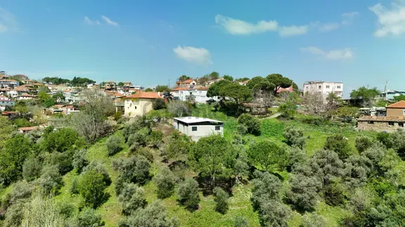 Aydın/koçarlı/çulhalar'da Köy İçi Zeytinlik 2121 M2 1