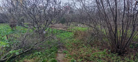 Samsun Canik. Haciismail De Vevre Yoluna Cephe Satilik 10 Kata İmar 1.40 Emsal Arsa 1