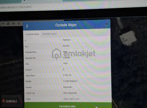Sakarya Erenler Tepe Mah.yatırımlık Satılık Fındık Bahçesi 1