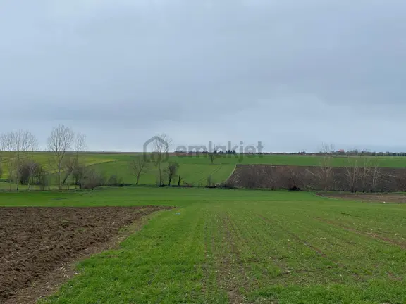 Sahibinden Tekirdağ Pınarbaşında 1530 M² Tek Tapu Tarla 2
