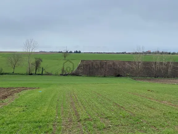 Sahibinden Tekirdağ Pınarbaşında 1530 M² Tek Tapu Tarla 1