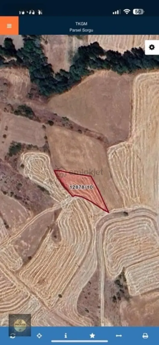 Prestij Gyo I Höbekte 1.400 M2 Tek Tapu Yatırımlık Tarla 1
