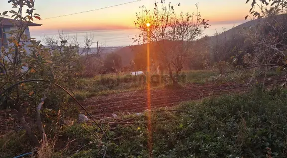 Gözüküçüklüde 1164m2 Satılık Full Deniz Manzaralı Tarla 1