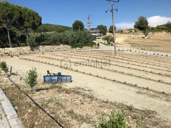 Kuşadası Caferli’de 61.000 M² Teraslanmış, Altyapısı Hazır, Körfez Manzaralı Yatırım Arazisi 2