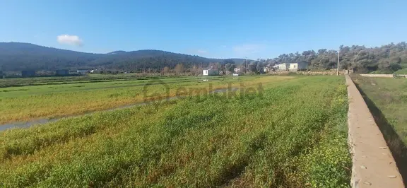 Milas Meşelik’te Çiftlik Evi Kurma İmkânı Sunan 4338 M2 Yatırım Arazisi 1