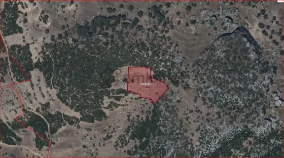Burdur Ağlasun Yumrutaş Köyünde Satılık Fırsat Tarla 1