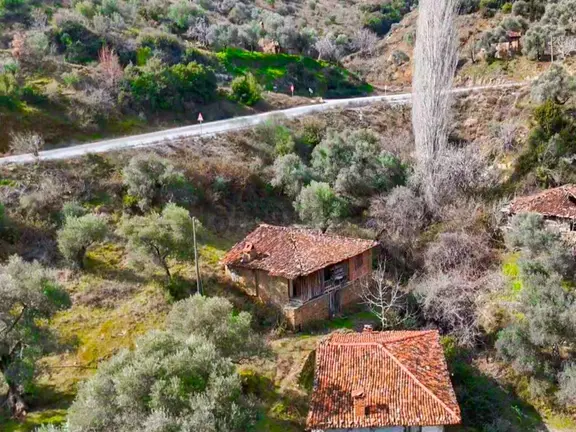 Ödemiş Lübbey Köyünde Satılık Zeytinlik 1