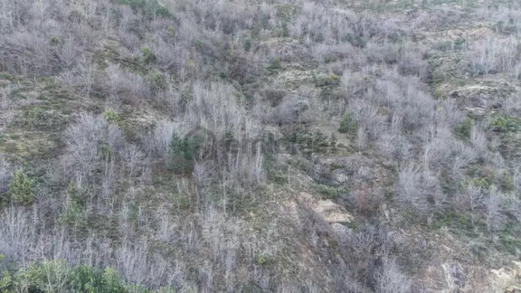 Trabzon Maçka Öğütlü Mahallesi 3383 M2 Satılık Arsa 1