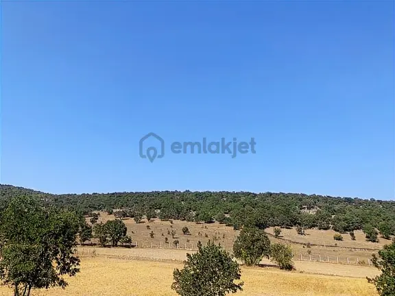 Yok Böyle Fiyat!! 45.321 M2 Dursunbey/karamanlarda Fırsat Arazi 2