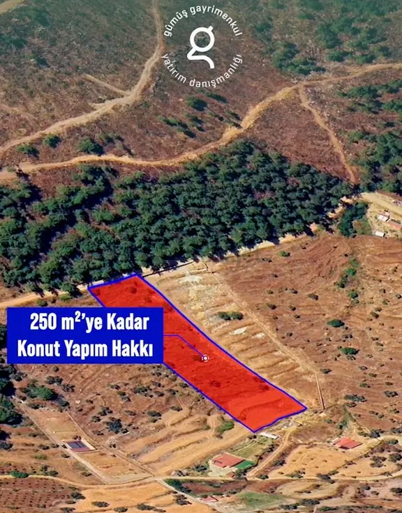 Bodrum Gökpınar Da 6420 M2 Köy İmarlı Tarla 1