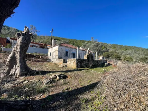 Bodrum Kızılağaç İçinde Kargir Ev Ve Avlusu Mevcut 786 M2 Arsa 2