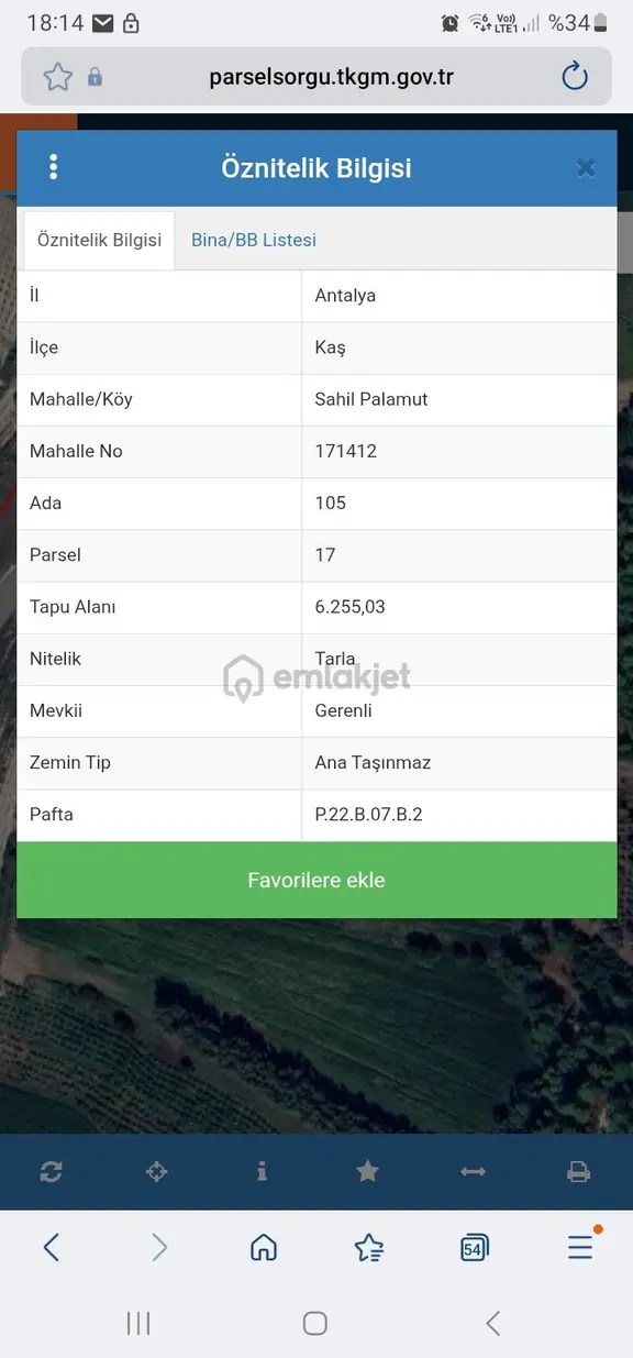 Kaş Sahil Palamut Kele 1