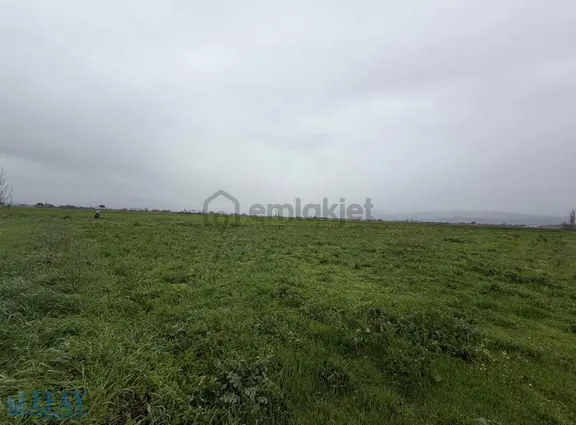 Bergama Merkeze Yakın Tarla İslamsaray Mah. 1