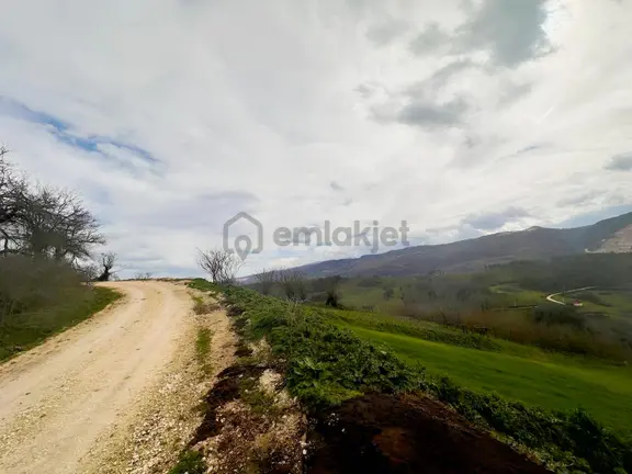 Düzce Yığılca Naşlar Da Konut İmarlı Arsa 399 M2 Kaçırmayın...!! 2