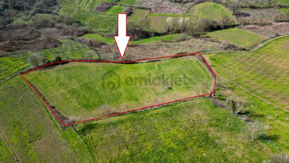 Uzmanlar'dan Karamürsel Yalakdere Satılık 12.730 M2 Tarla 1