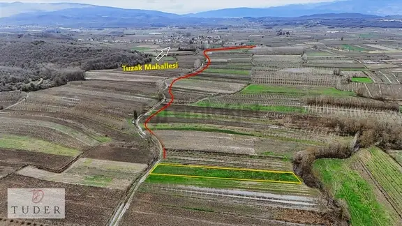 Hendek' Te Yola Cepheli, Düz Ve Verimli 2310 M2 Tarla Satılıktır 1