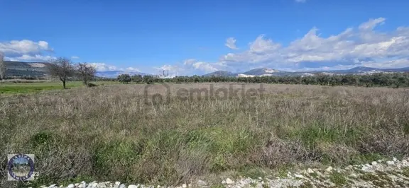 Yatağan Ovasında Bant Yoluna Yakın Konumda Satılık Tarla 1