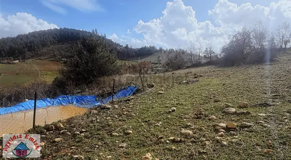Kömürcü Mahallesinde Yola Cepheli Boş Tarla 2