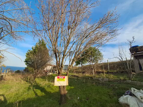 Gülsultan Emlak ' Tan Tekirdağ S.paşa Kumbağ Mah. 240 M2 3 Kat Konut İmarlı Arsa 1
