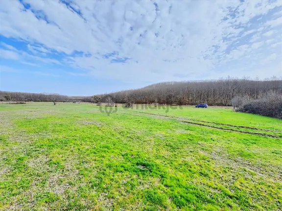 Tekirdağ Saray Büyükyoncalı 1709 M2 Tarla İstanbul Sınırında 1