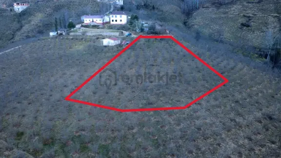 Ordu Gölköy'de Satılık Arazi 2